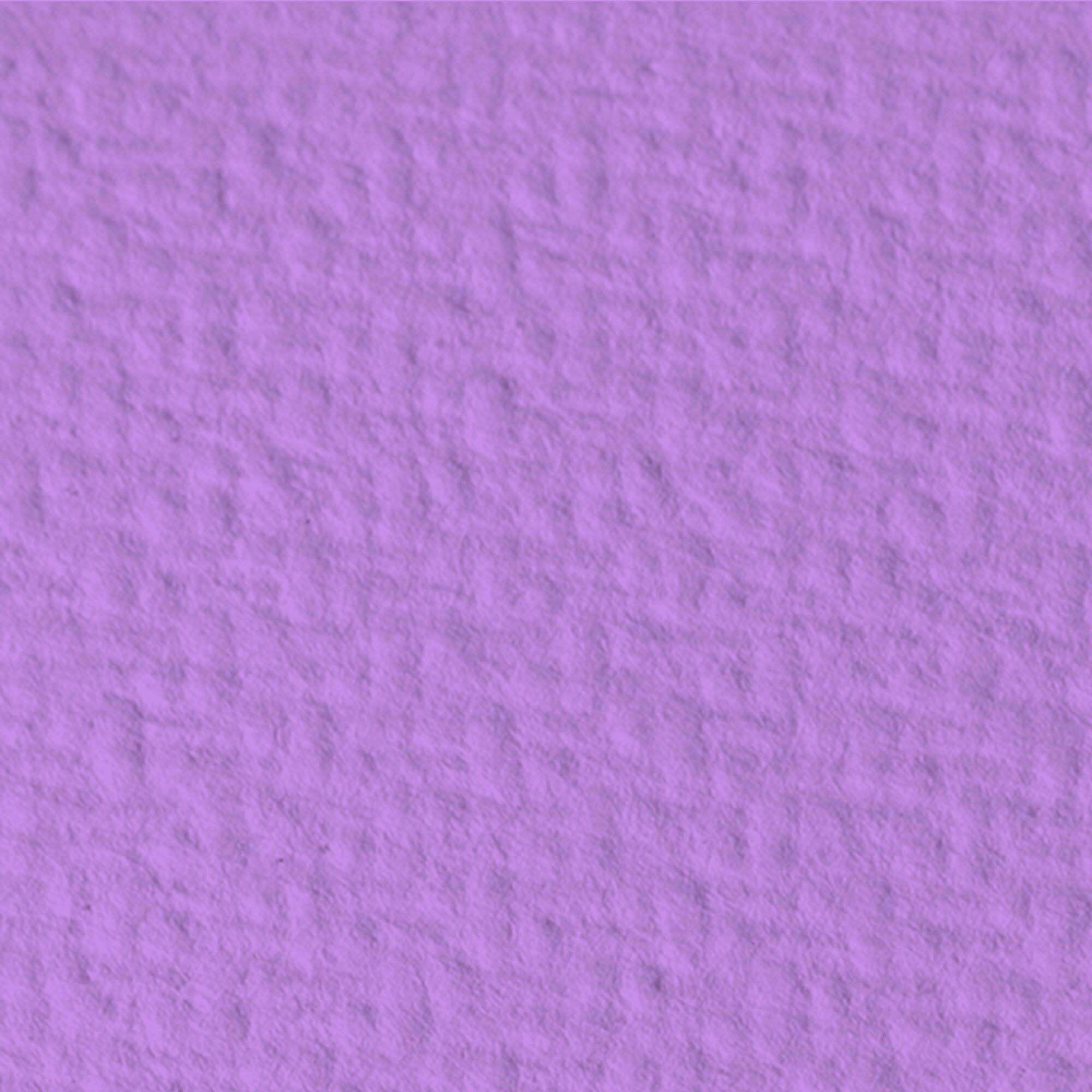 lorem fondo violeta